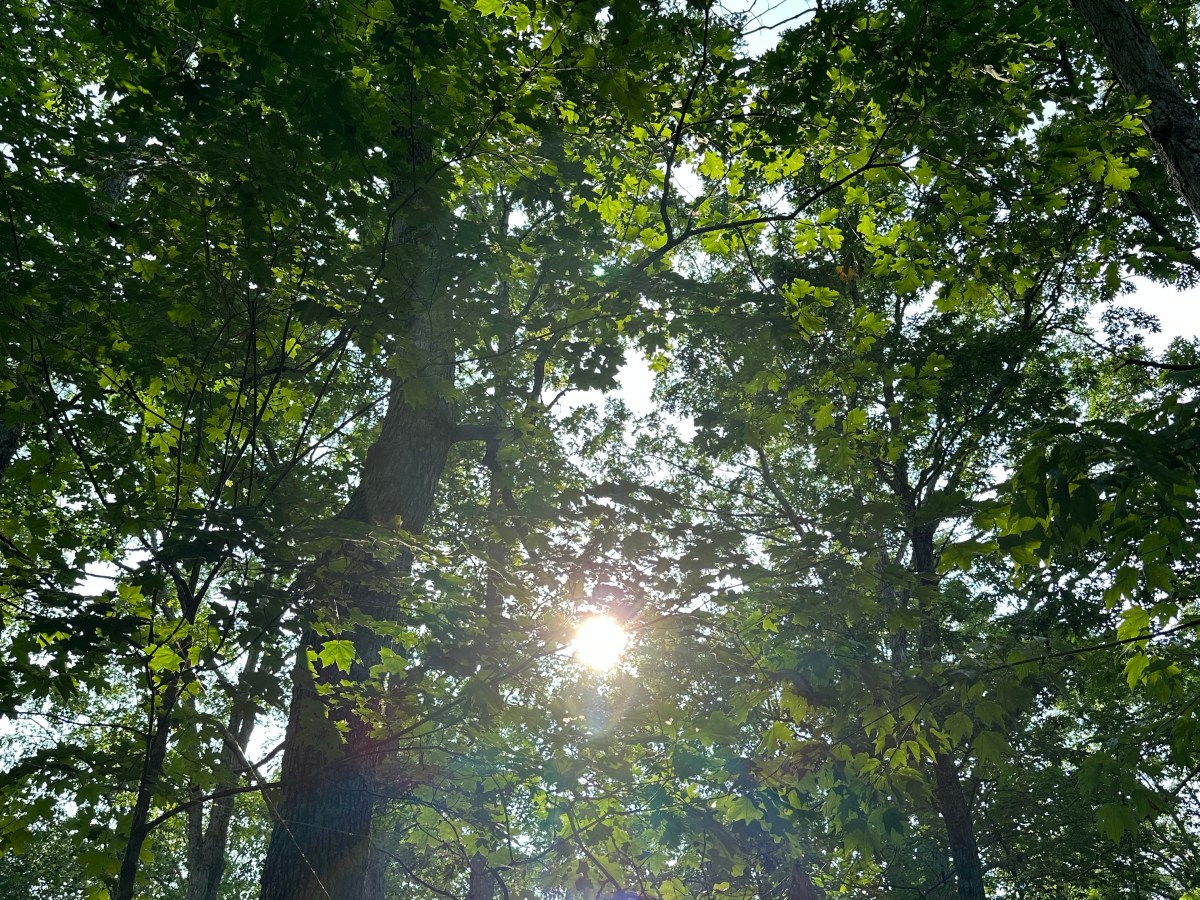 Love Has Many&nbsp;Forms