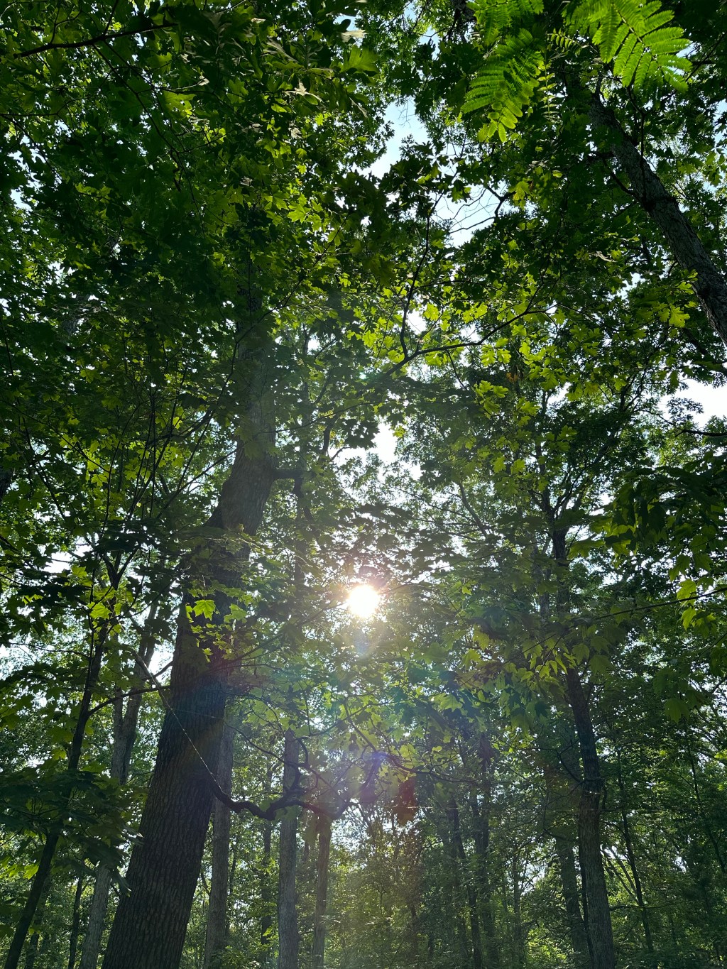 Love Has Many&nbsp;Forms